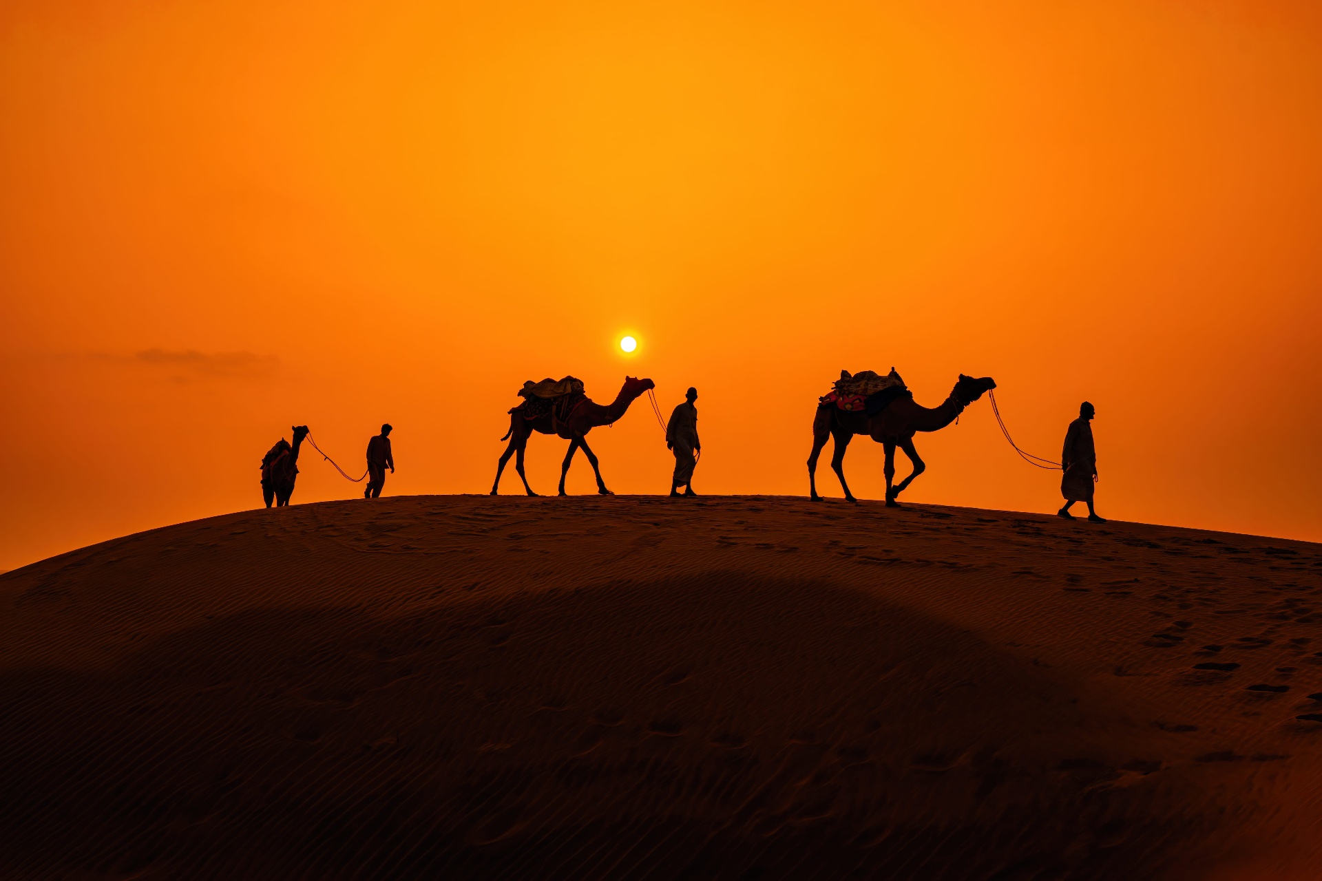 Camel caravan at sunset, Thar desert